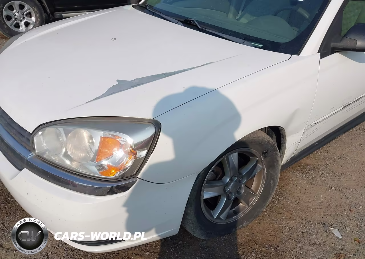 2005 Chevrolet Malibu Maxx Ls VIN:1G1ZT62865F207879 - 6