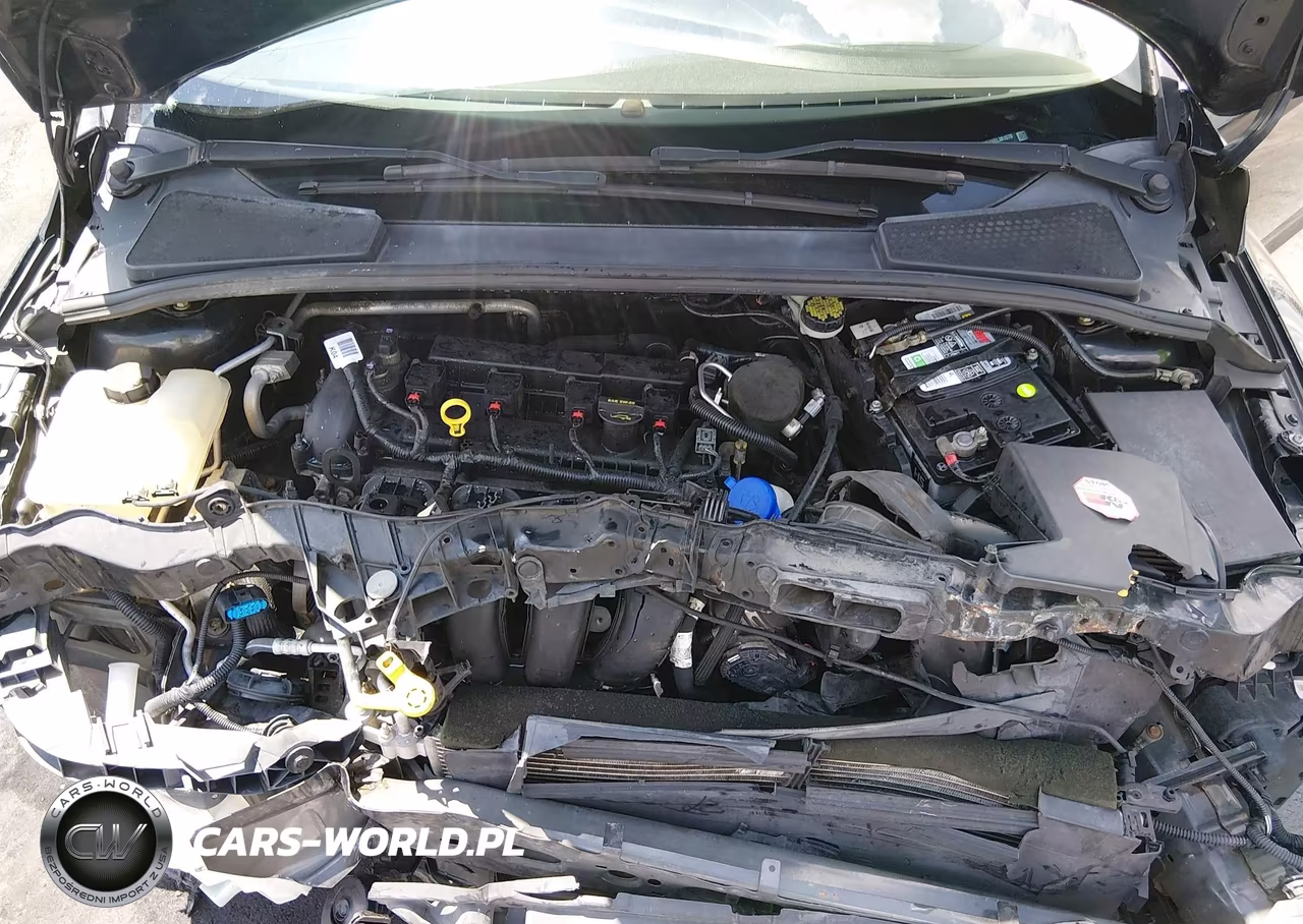 2014 Ford Focus Se VIN:1FADP3F2XEL381570 - 10