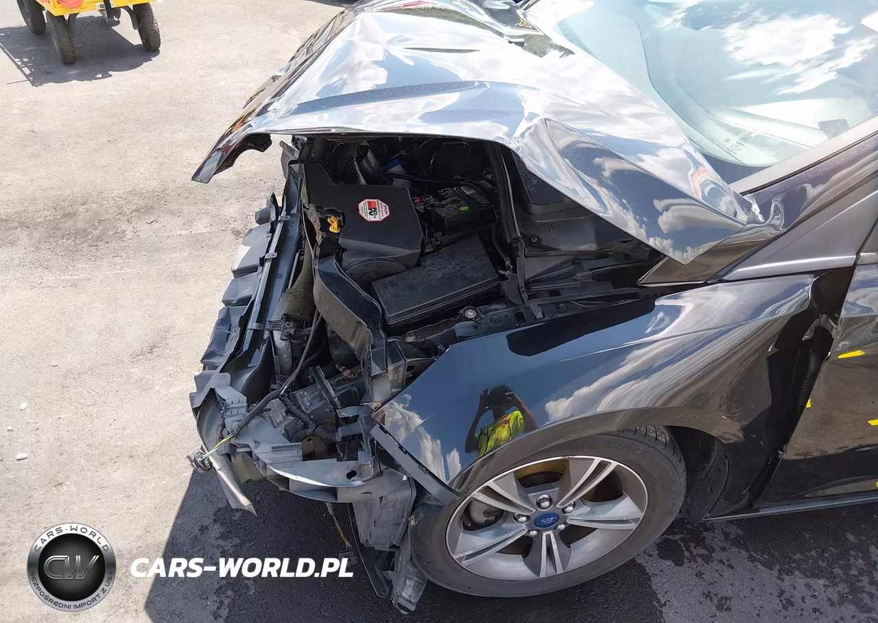 2014 Ford Focus Se VIN:1FADP3F2XEL381570 - 18
