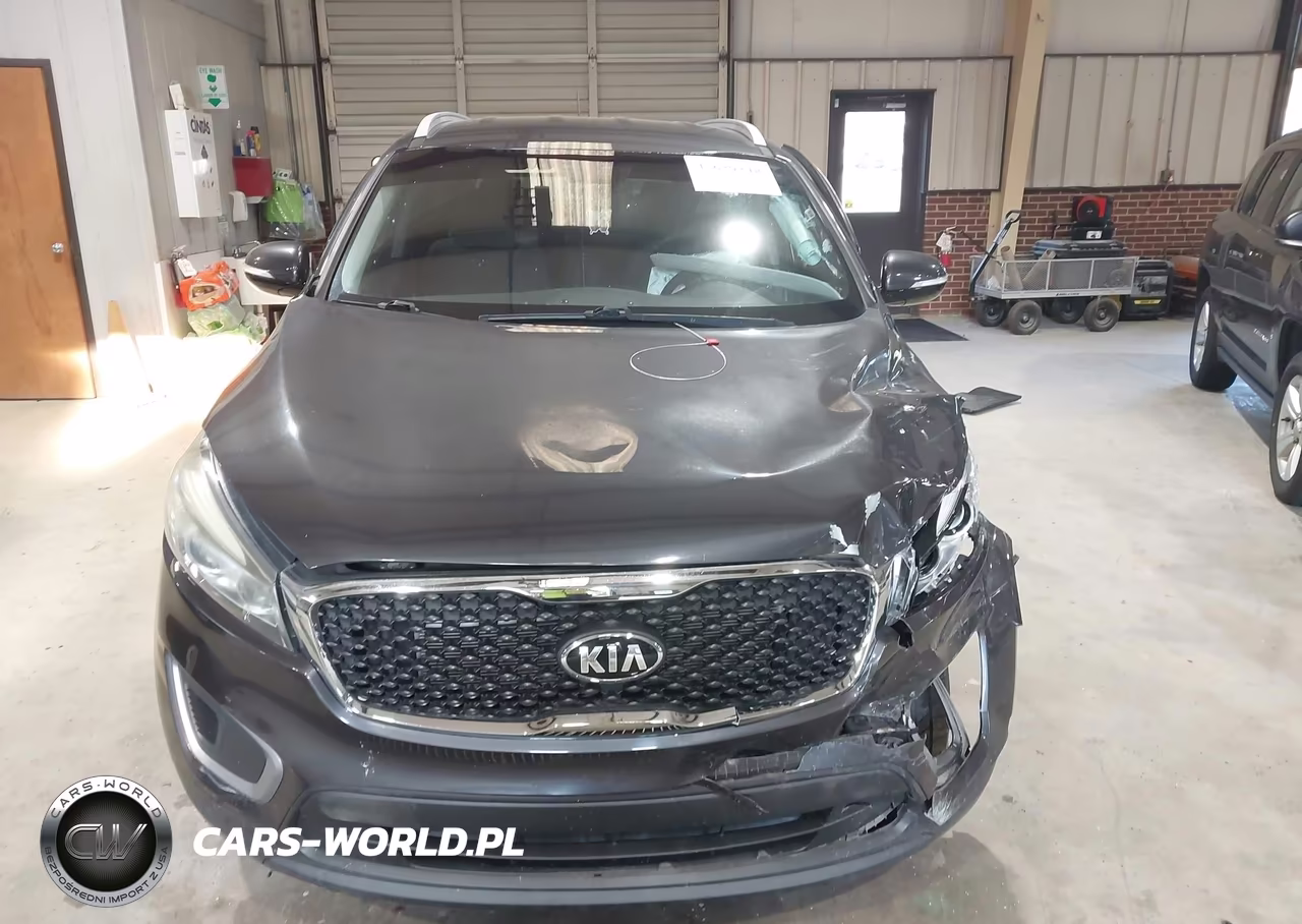 2017 Kia Sorento 3.3L Lx VIN:5XYPGDA54HG325588 - 12