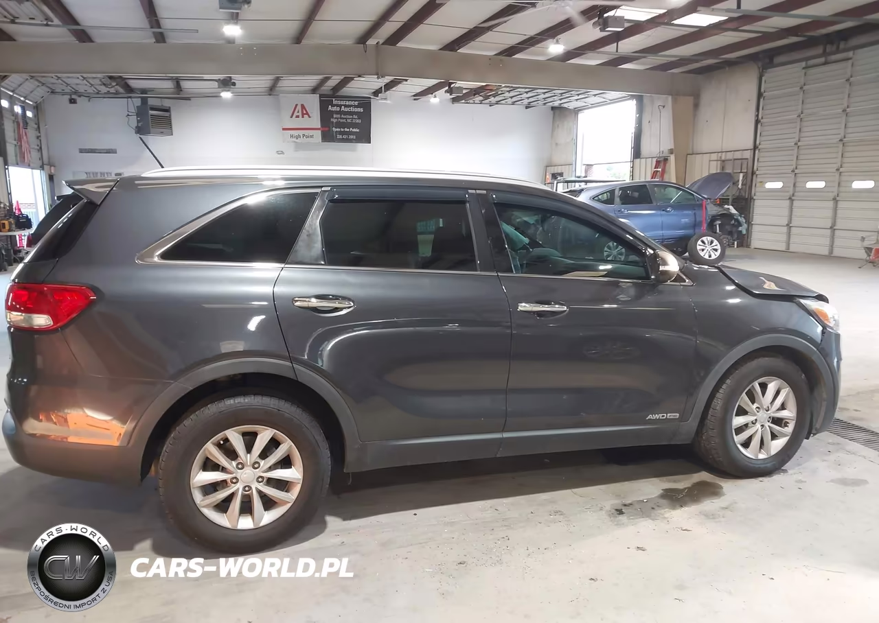 2017 Kia Sorento 3.3L Lx VIN:5XYPGDA54HG325588 - 13