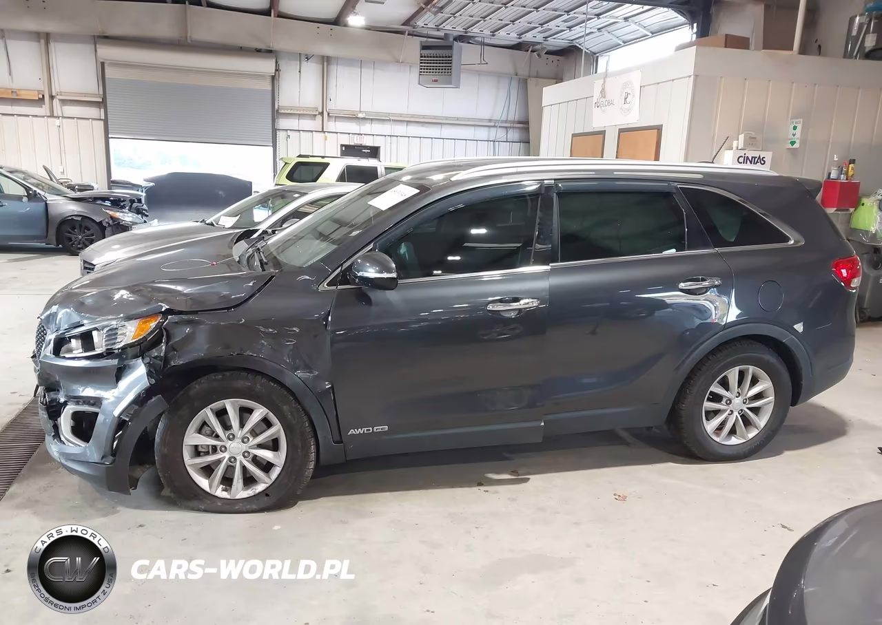 2017 Kia Sorento 3.3L Lx VIN:5XYPGDA54HG325588 - 14
