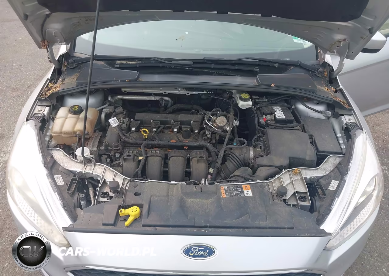 2018 Ford Focus Se VIN:1FADP3K28JL225365 - 10