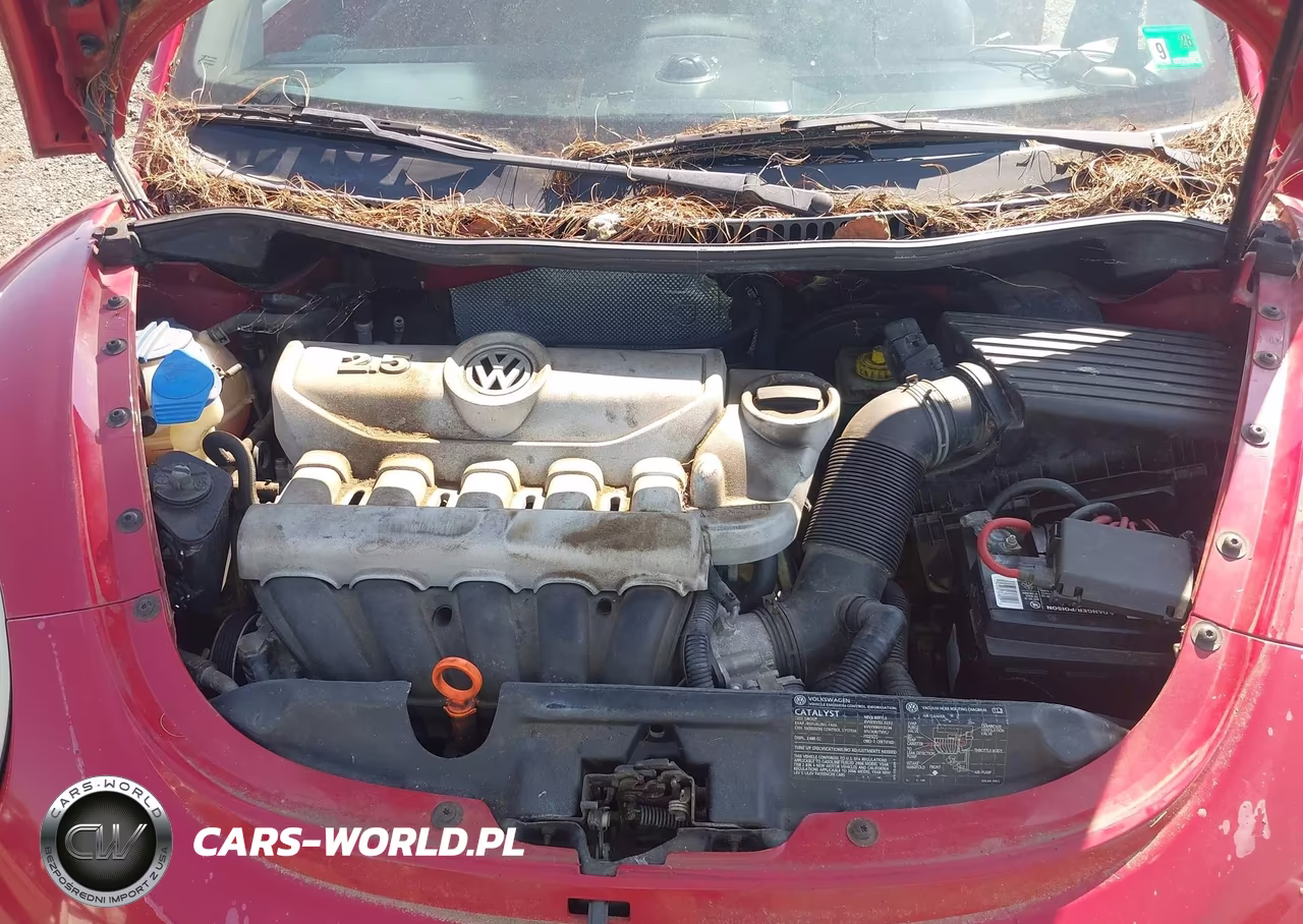 2006 Volkswagen New Beetle 2.5 VIN:3VWRF31YX6M310073 - 10