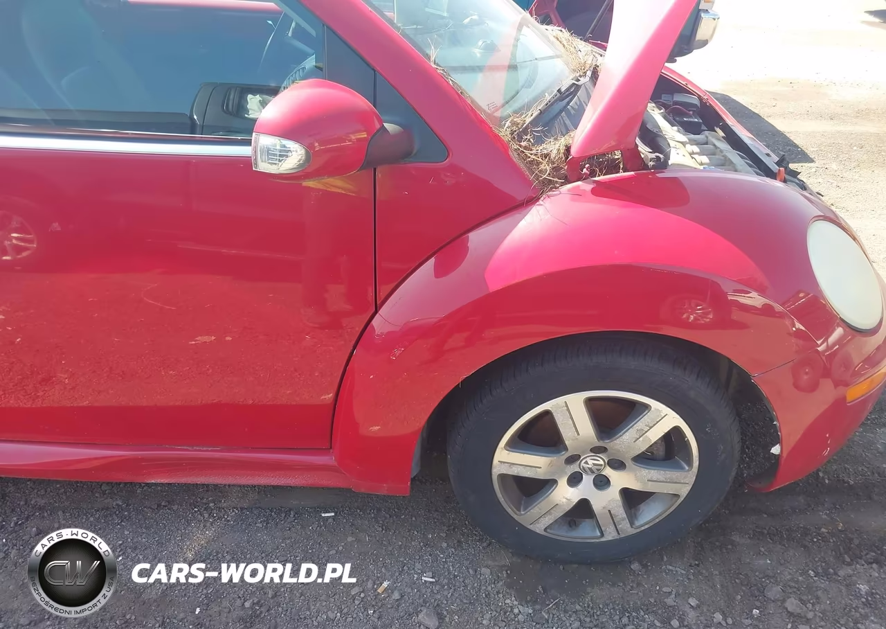 2006 Volkswagen New Beetle 2.5 VIN:3VWRF31YX6M310073 - 6