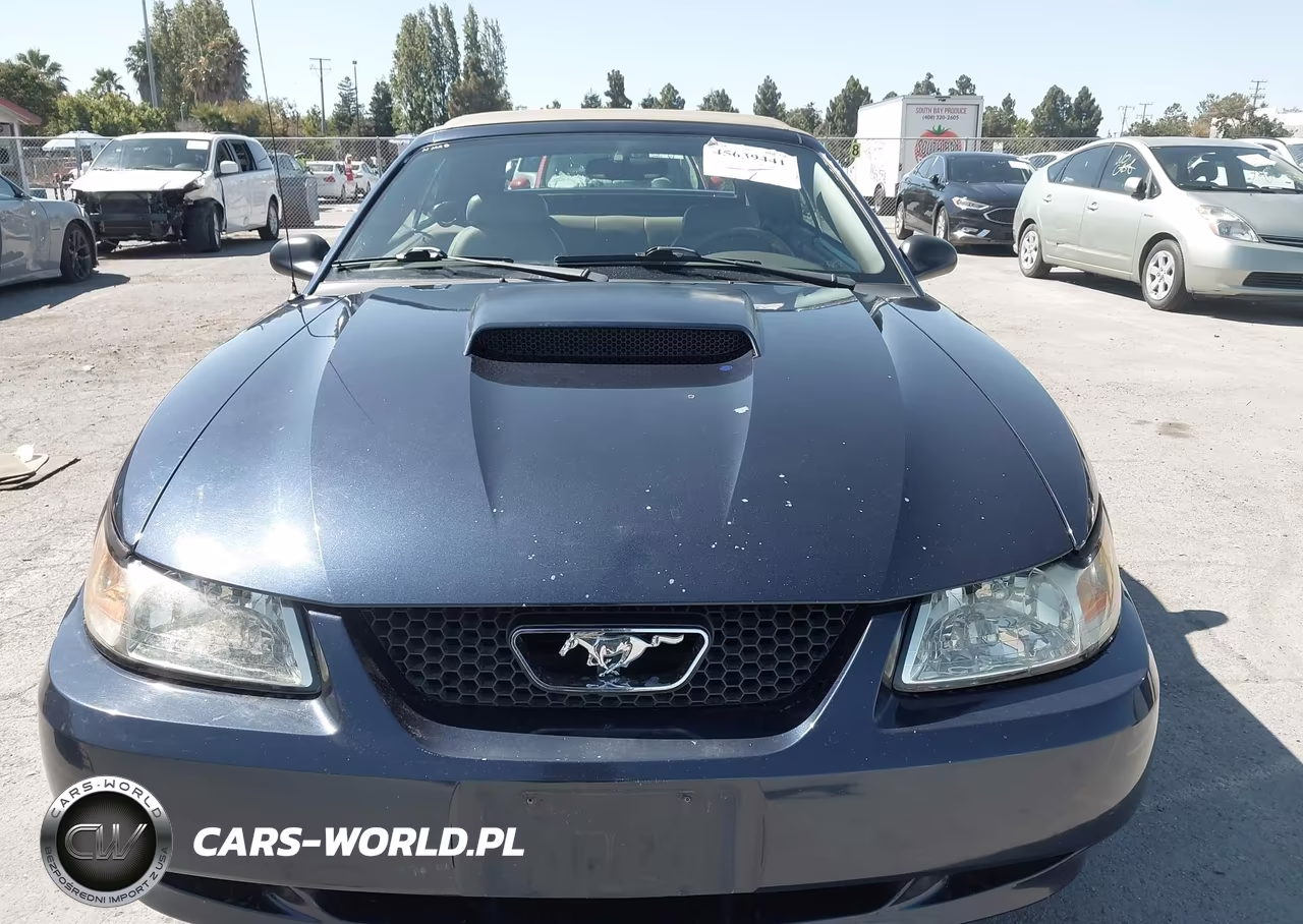 2002 Ford Mustang Gt Deluxe-Gt Premium VIN:1FAFP45X22F116454 - 12