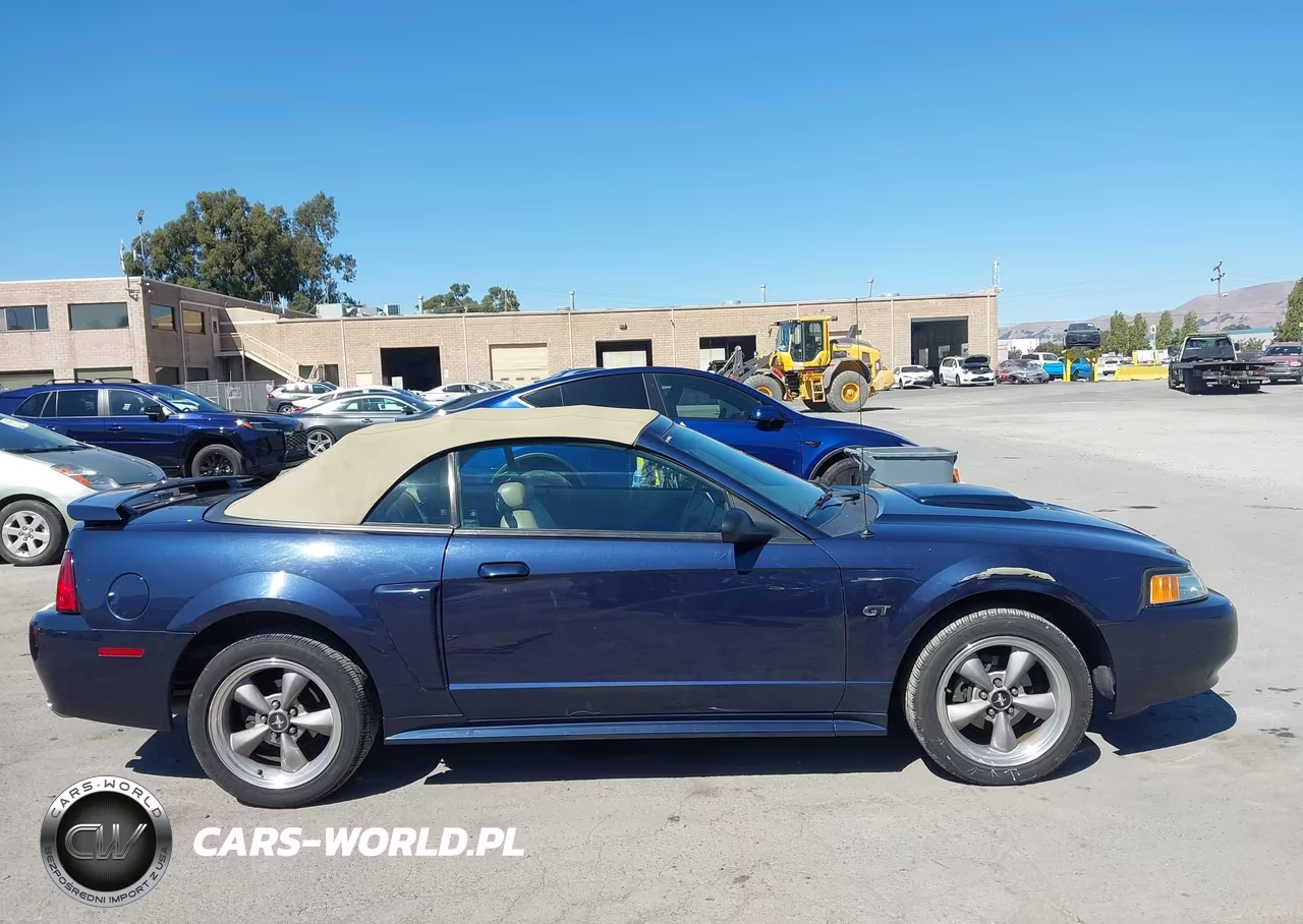 2002 Ford Mustang Gt Deluxe-Gt Premium VIN:1FAFP45X22F116454 - 13