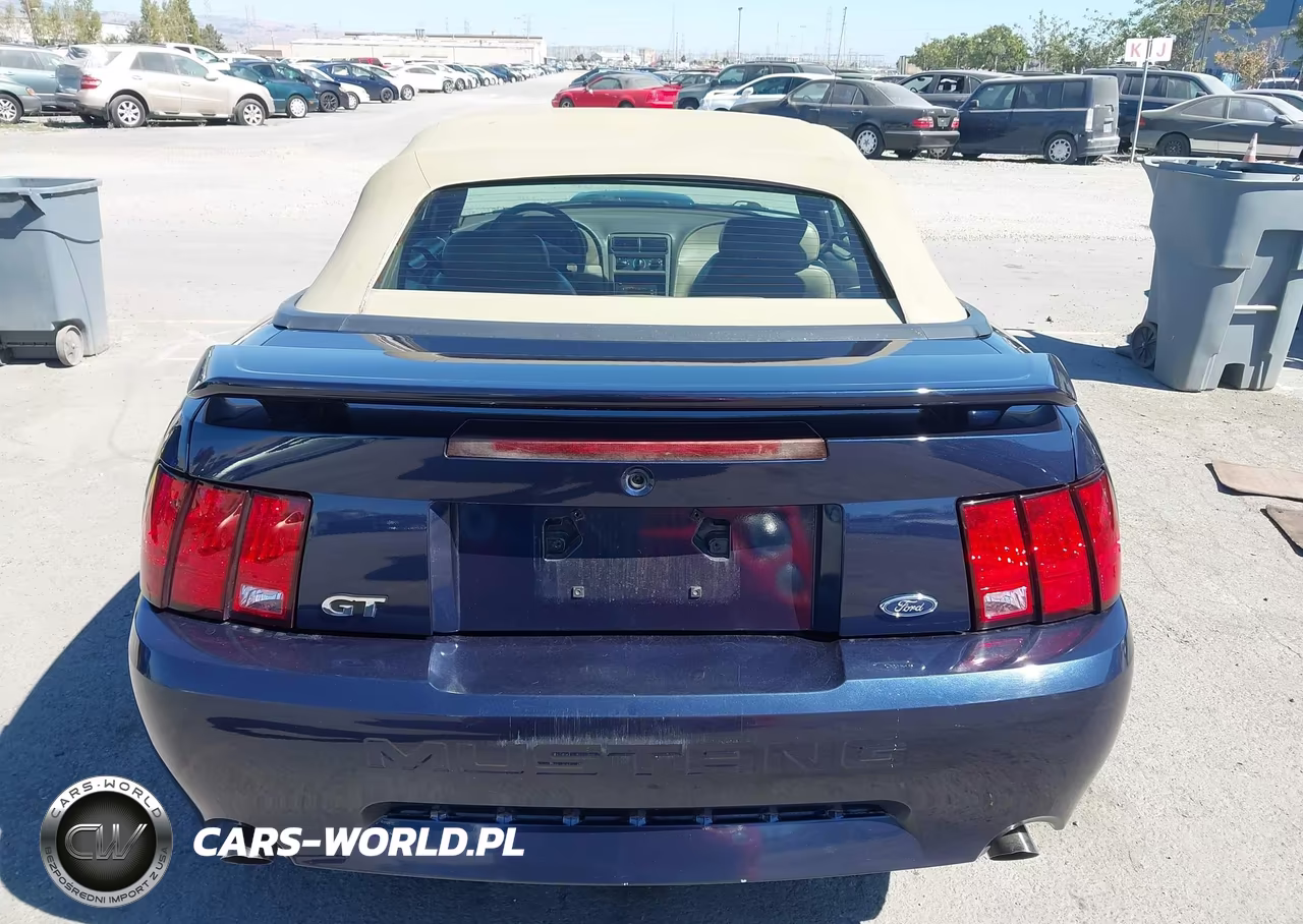 2002 Ford Mustang Gt Deluxe-Gt Premium VIN:1FAFP45X22F116454 - 16