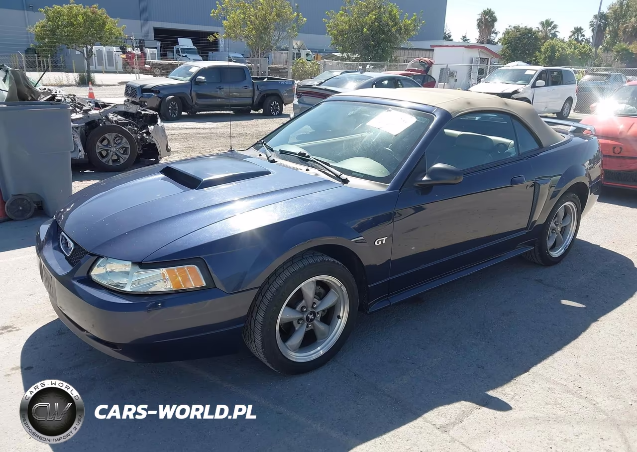 2002 Ford Mustang Gt Deluxe-Gt Premium VIN:1FAFP45X22F116454 - 2