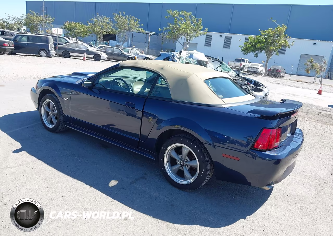2002 Ford Mustang Gt Deluxe-Gt Premium VIN:1FAFP45X22F116454 - 3