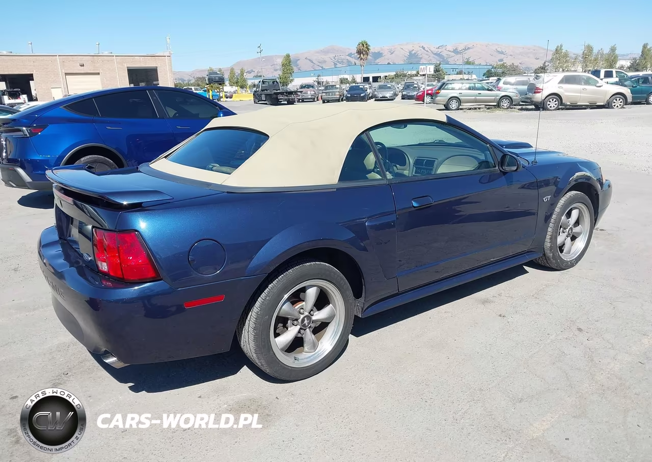 2002 Ford Mustang Gt Deluxe-Gt Premium VIN:1FAFP45X22F116454 - 4