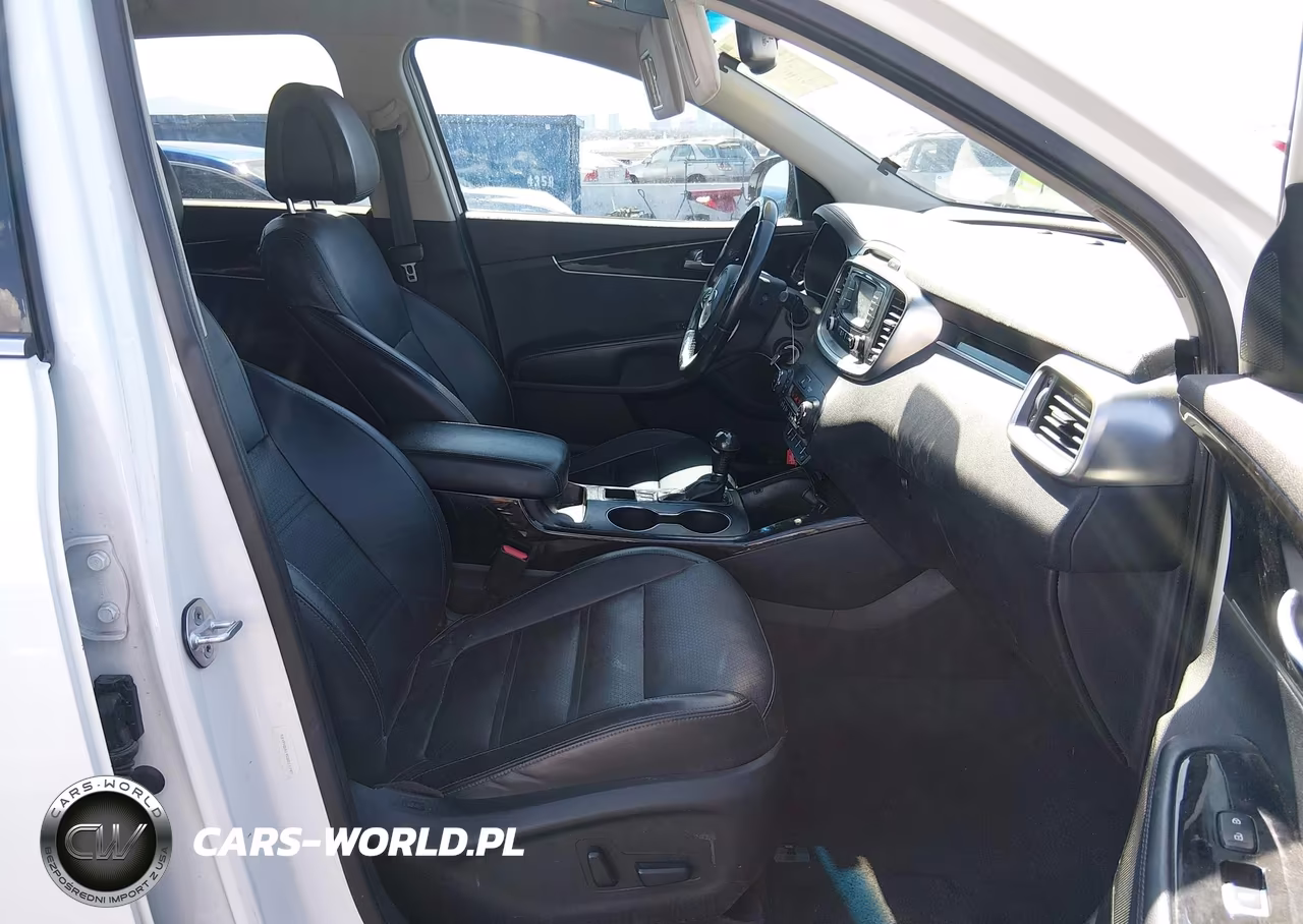 2016 Kia Sorento 2.0T Ex VIN:5XYPHDA19GG011797 - 5
