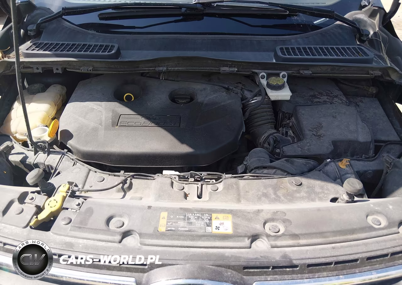 2014 Ford Escape Se VIN:1FMCU9G94EUB30403 - 10