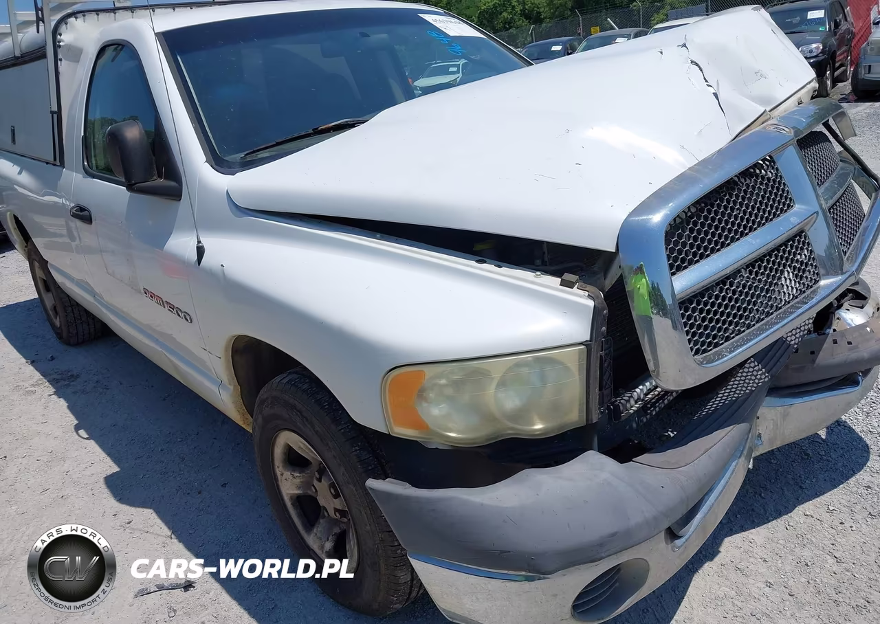 2002 Dodge Ram 1500 St VIN:1D7HA16N32J188301 - 19