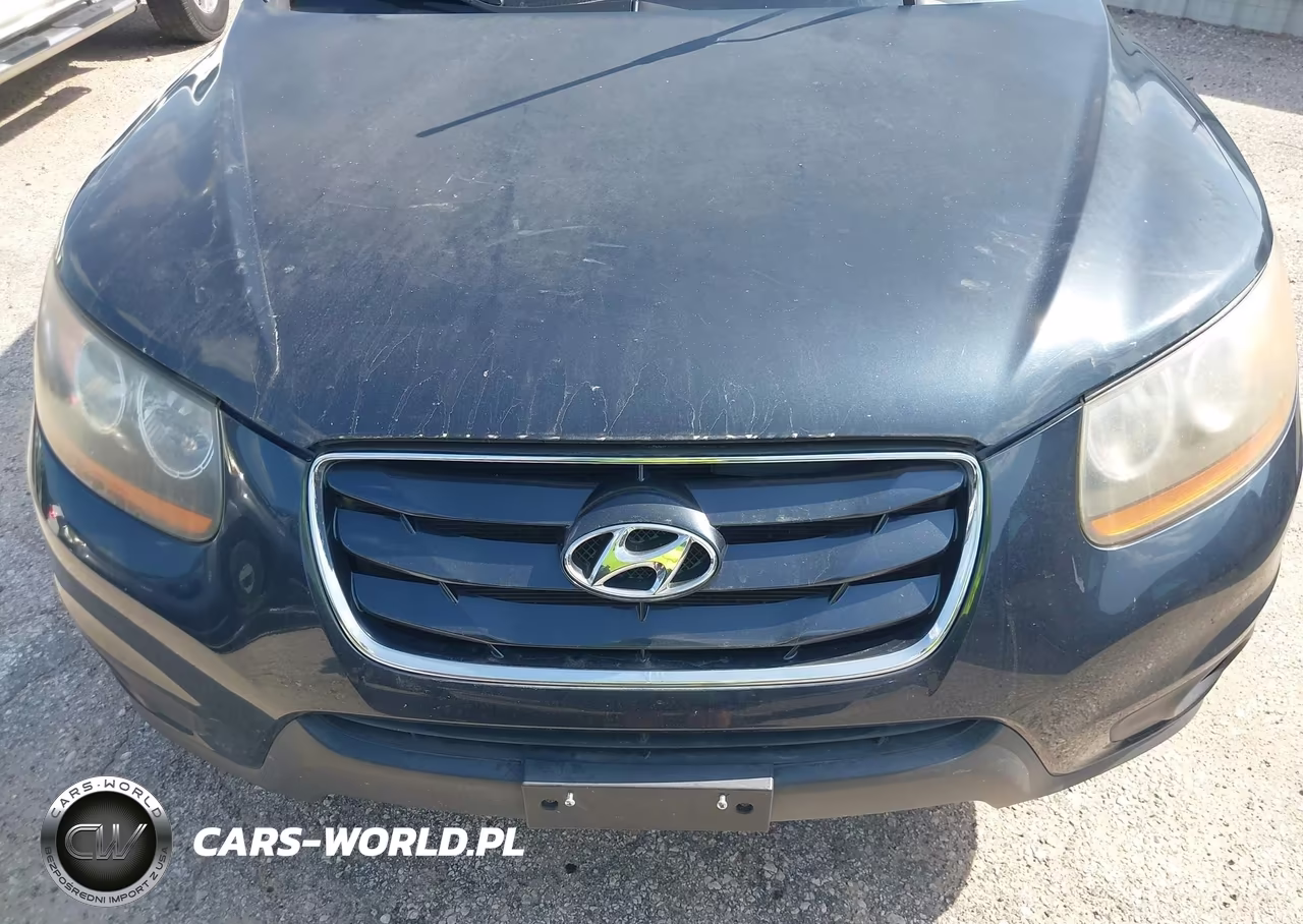 2010 Hyundai Santa Fe Se VIN:5NMSH4AG4AH357221 - 6