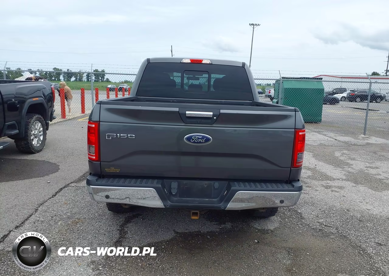 2017 Ford F-150 Xlt VIN:1FTEW1EF6HFB05657 - 16