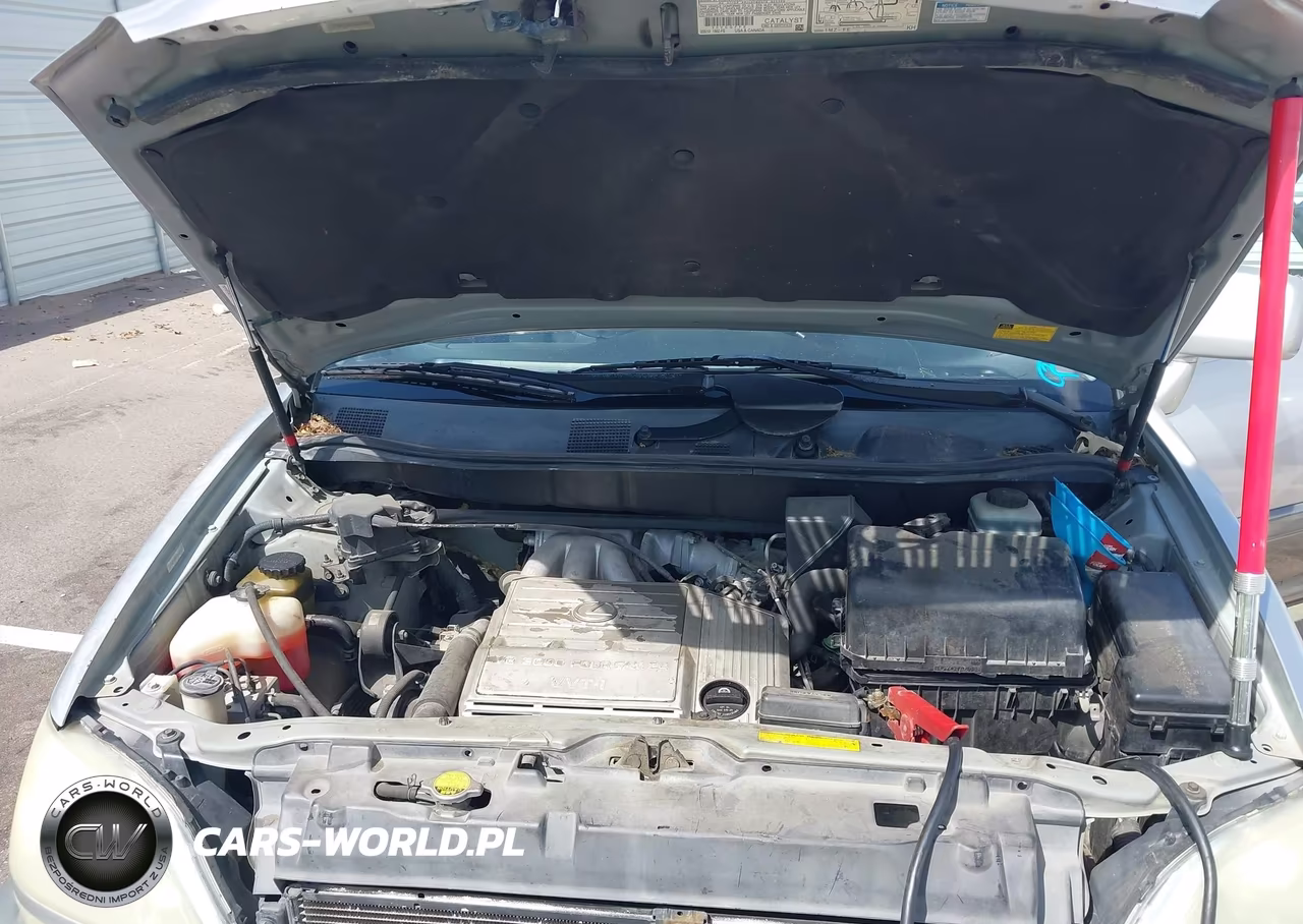 2002 Lexus Rx 300 VIN:JTJGF10U320146284 - 10