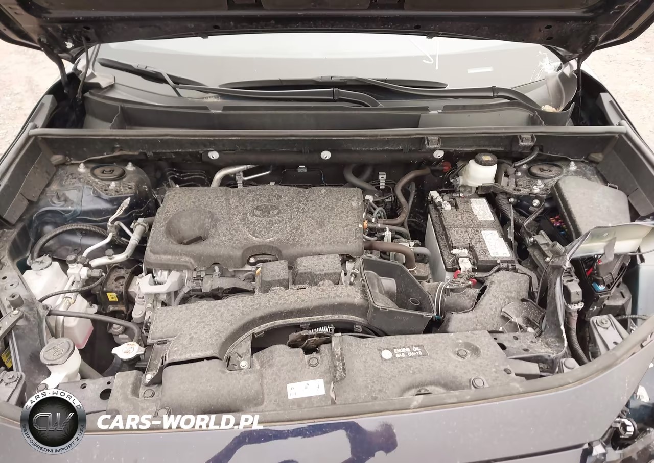 2025 Toyota Rav4 Xle VIN:2T3W1RFV7SW398739 - 10