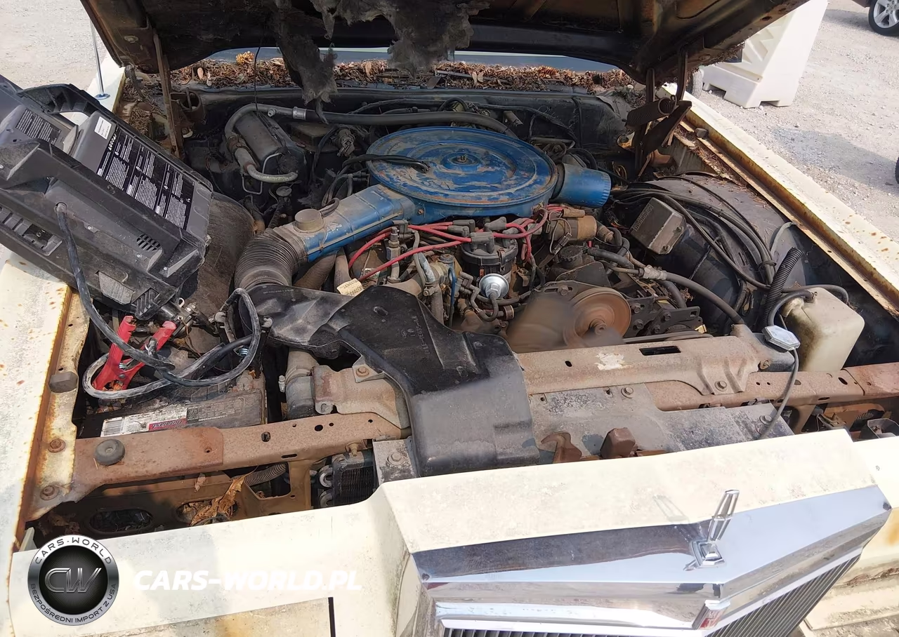1978 Lincoln Continental VIN:8Y89A906891 - 10