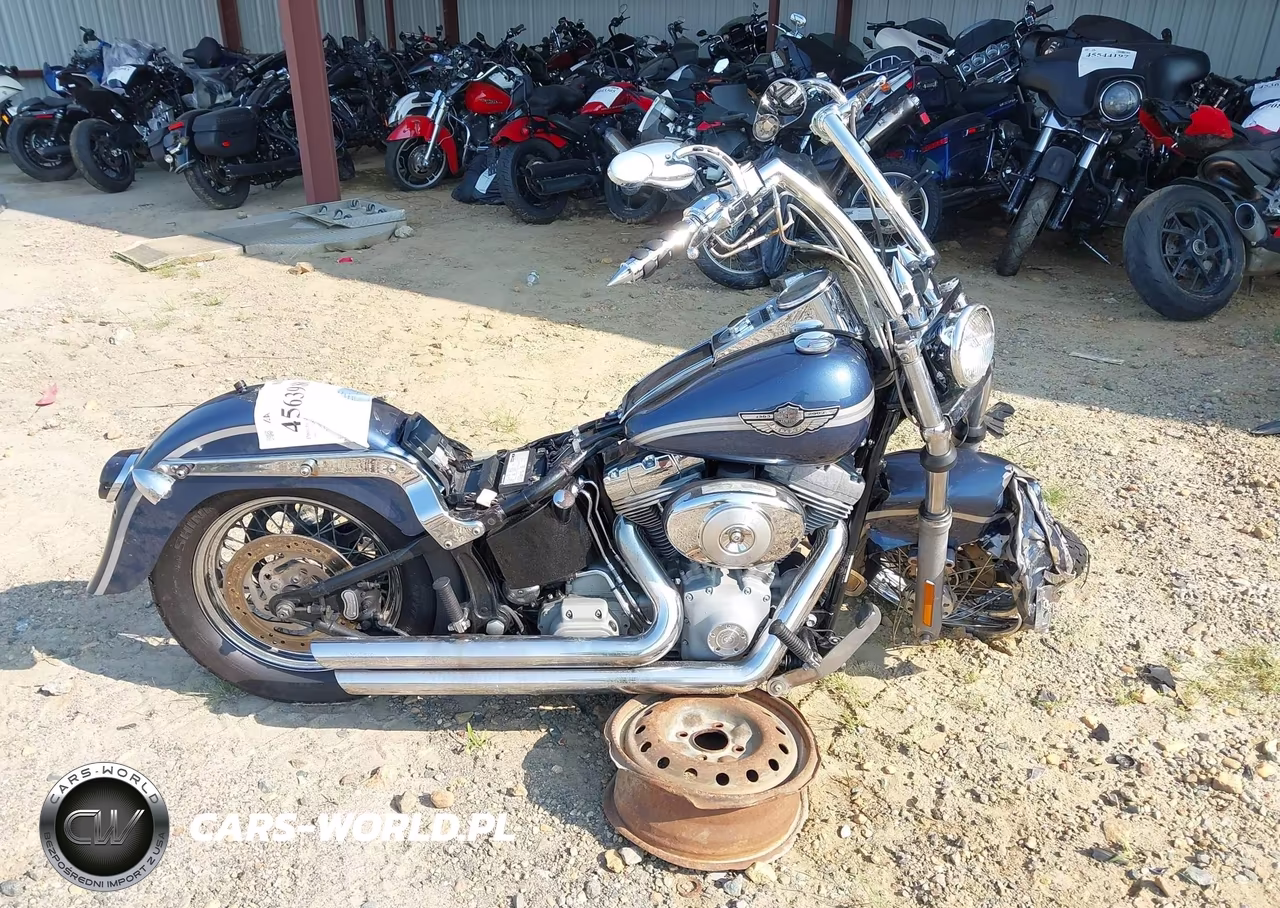 2003 Harley-Davidson Fxst VIN:1HD1BHY163Y112204 - 12