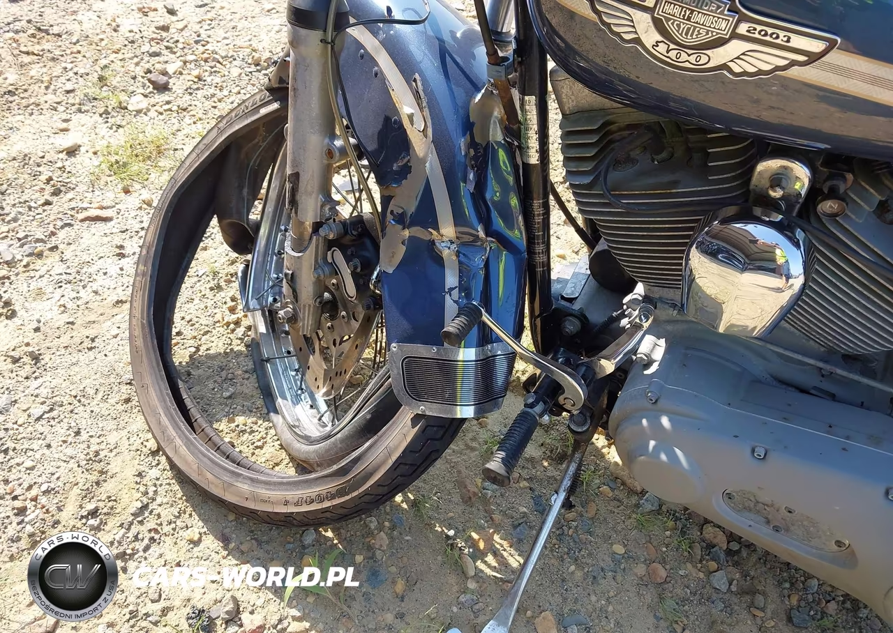 2003 Harley-Davidson Fxst VIN:1HD1BHY163Y112204 - 18