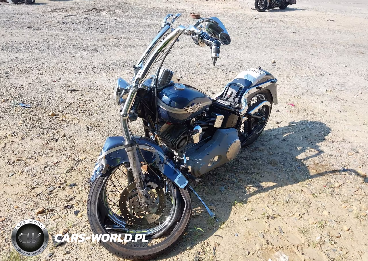 2003 Harley-Davidson Fxst VIN:1HD1BHY163Y112204 - 2