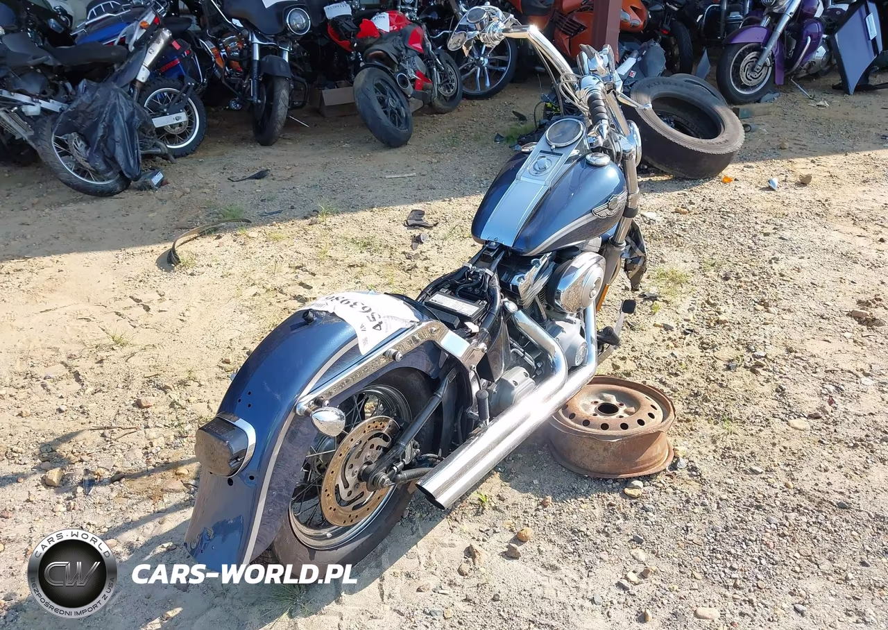 2003 Harley-Davidson Fxst VIN:1HD1BHY163Y112204 - 4