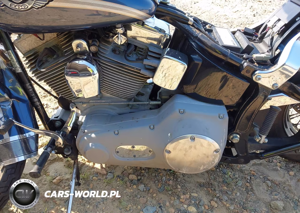 2003 Harley-Davidson Fxst VIN:1HD1BHY163Y112204 - 9