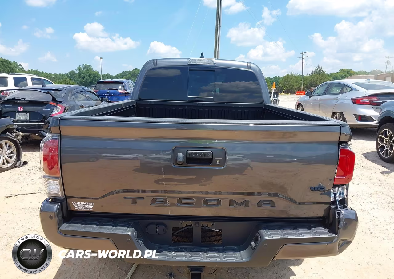 2023 Toyota Tacoma Trd Off Road VIN:3TMDZ5BNXPM149598 - 16