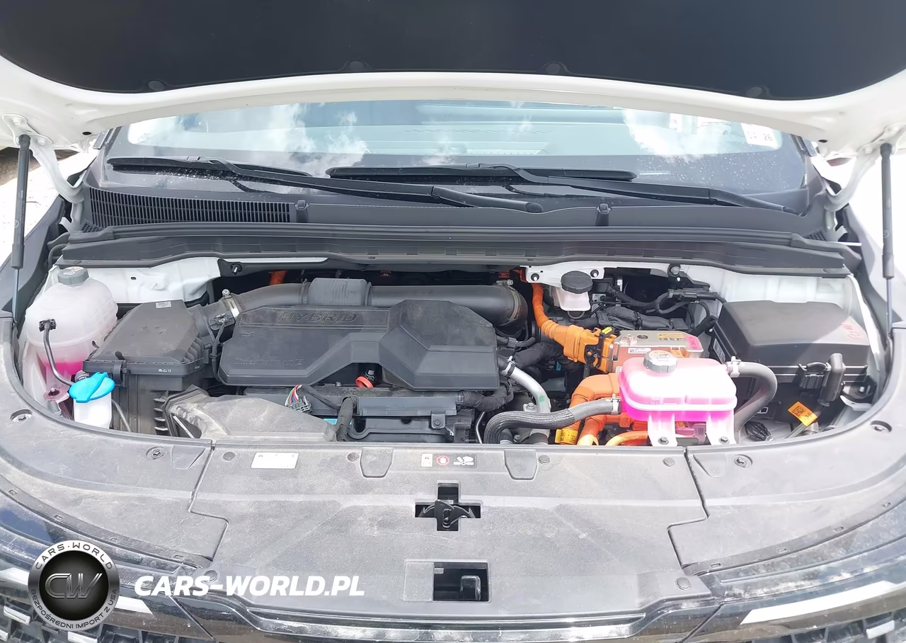 2025 Kia Carnival Mpv Hybrid Sx VIN:KNDNE5KA0S6064596 - 10