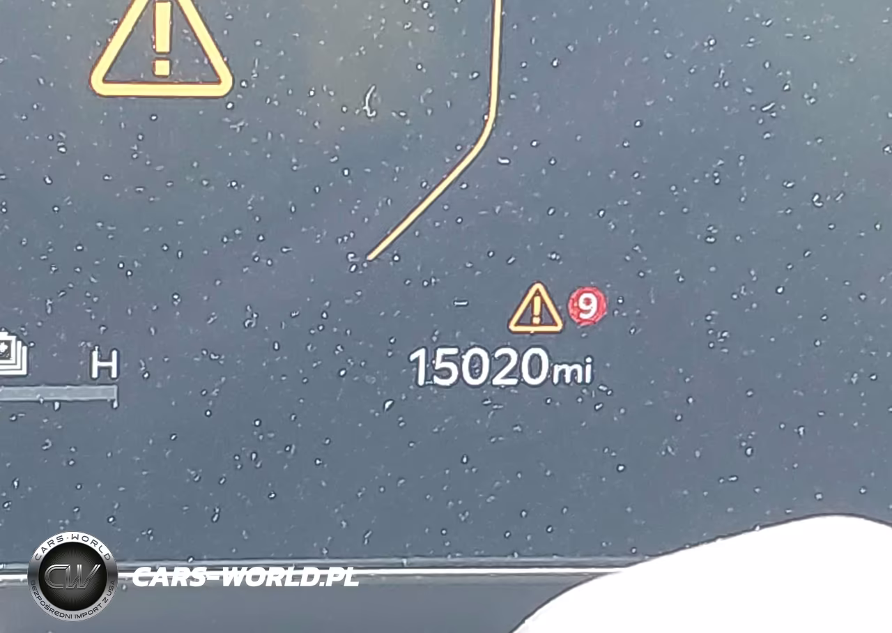 2025 Kia Carnival Mpv Hybrid Sx VIN:KNDNE5KA0S6064596 - 16