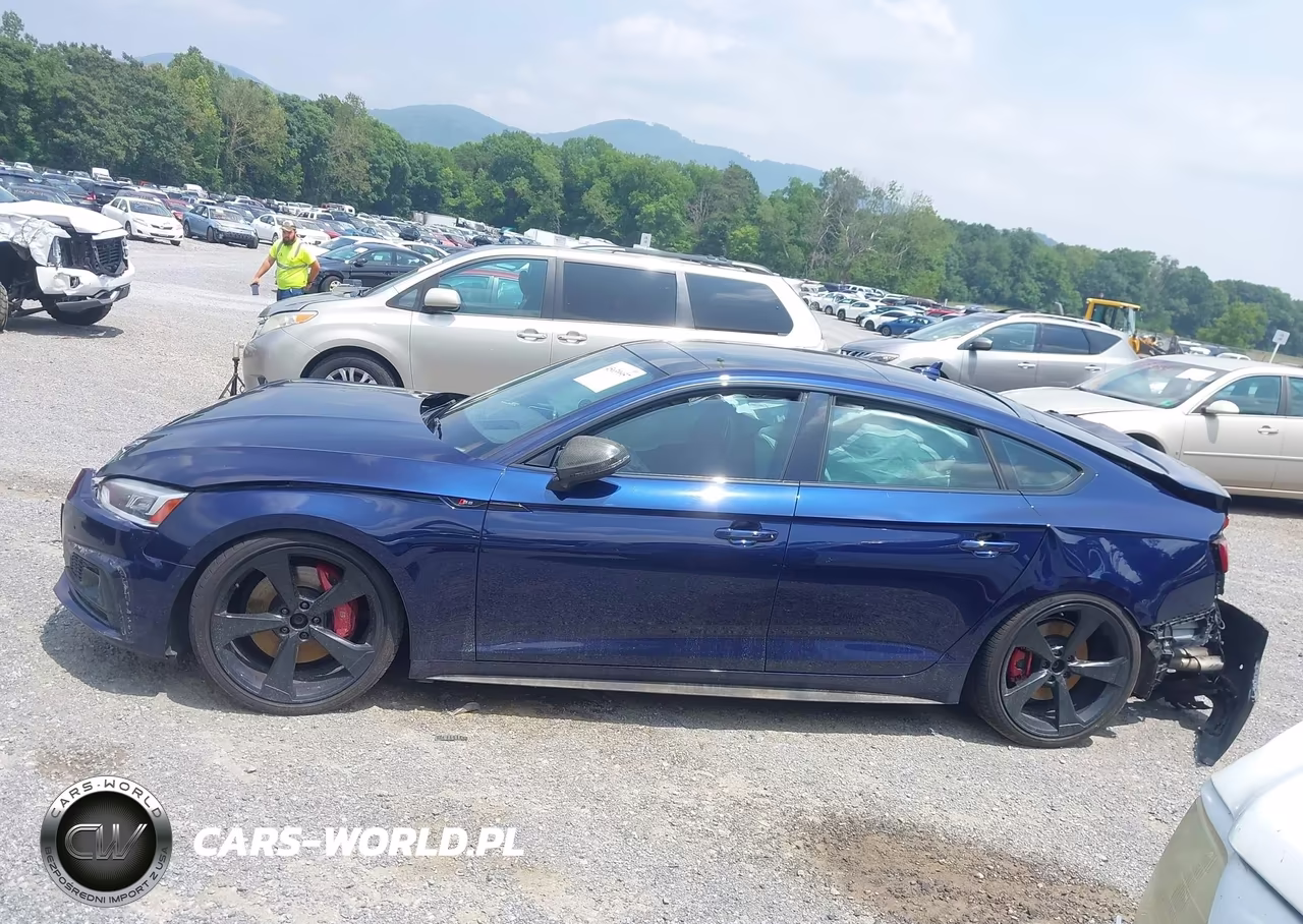 2019 Audi S5 3.0T Premium VIN:WAUC4CF51KA008639 - 13