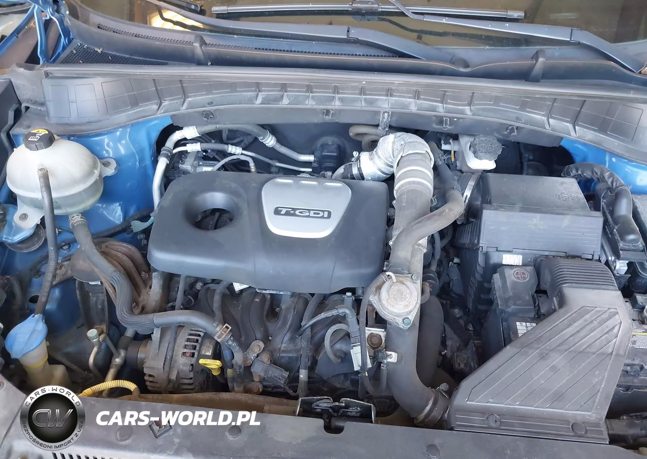 2017 Hyundai Tucson Limited VIN:KM8J3CA24HU320807 - 10