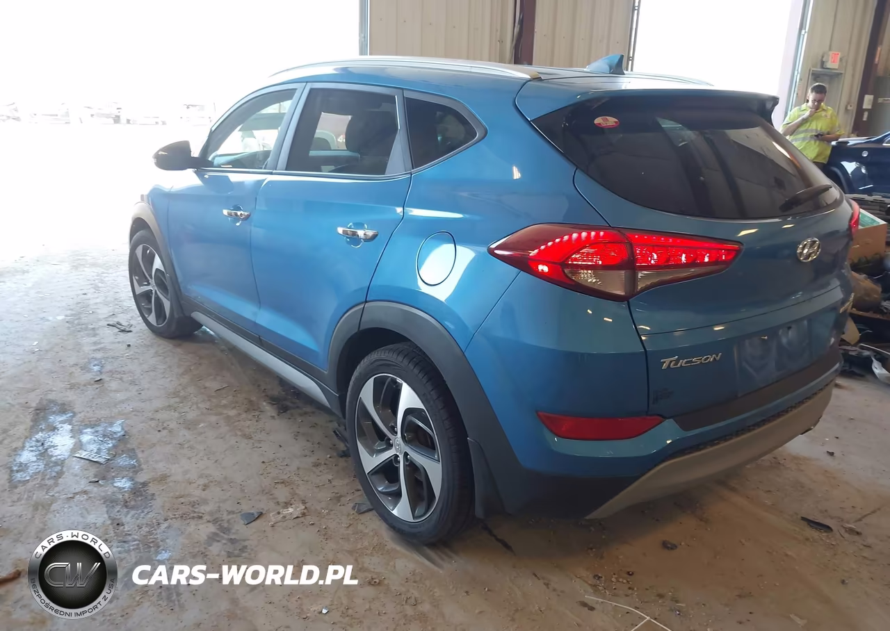 2017 Hyundai Tucson Limited VIN:KM8J3CA24HU320807 - 3