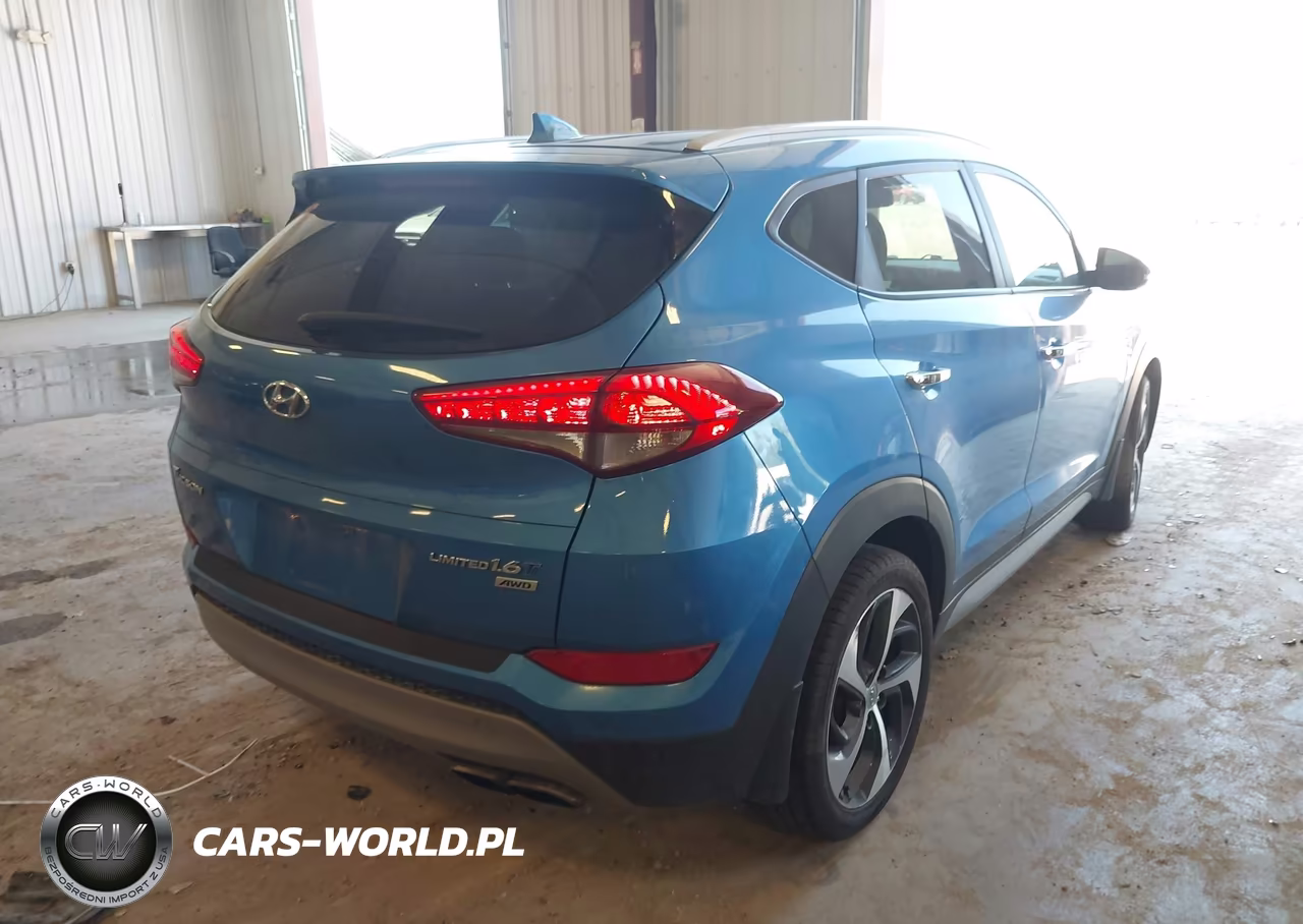 2017 Hyundai Tucson Limited VIN:KM8J3CA24HU320807 - 4