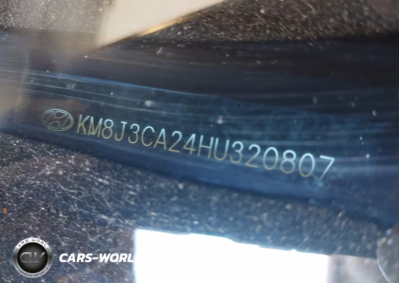 2017 Hyundai Tucson Limited VIN:KM8J3CA24HU320807 - 9