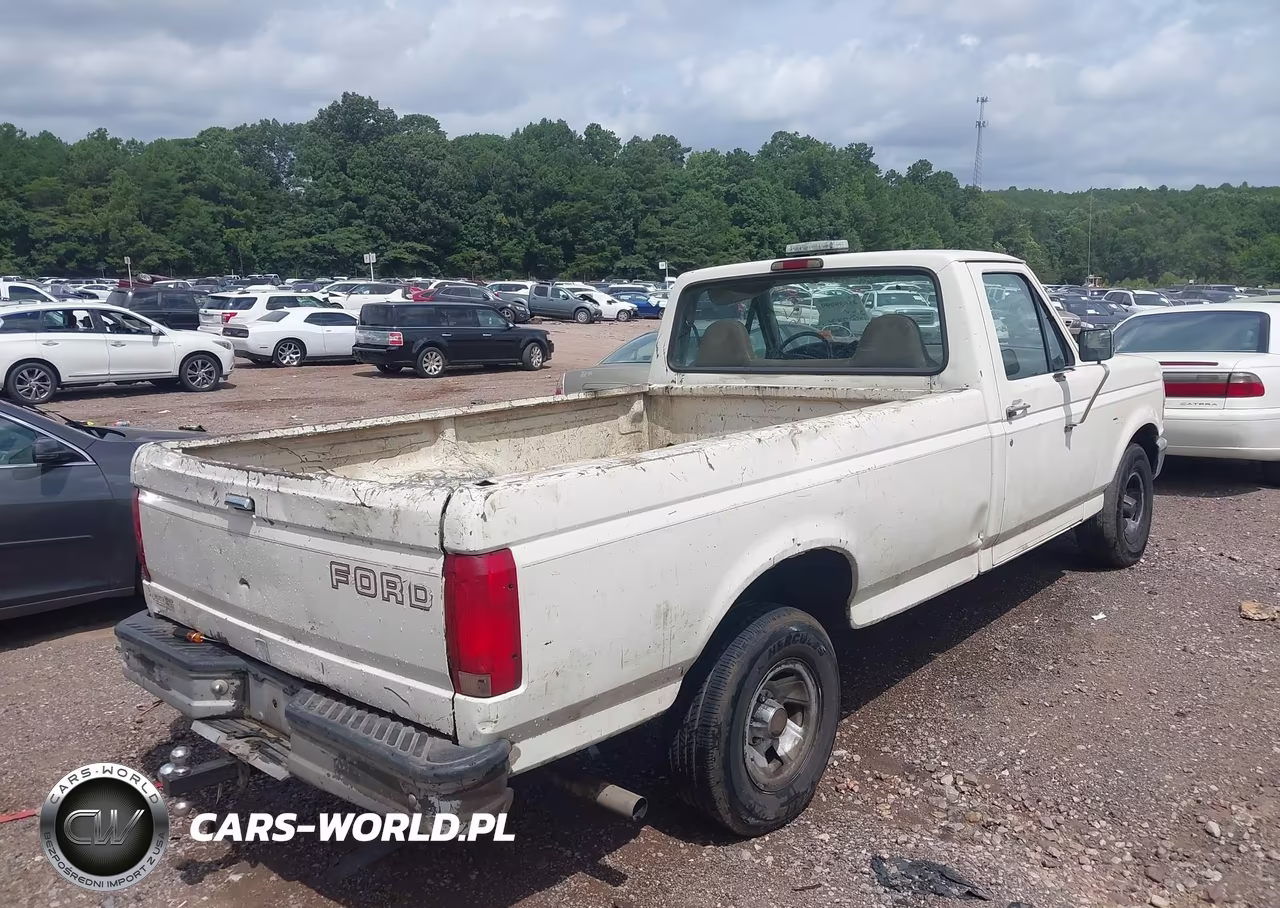 1995 Ford F150 VIN:1FTEF15N9SLC03209 - 4
