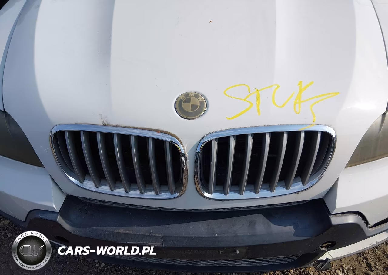 2009 BMW X5 xDrive48I VIN:5UXFE83589L308383 - 10
