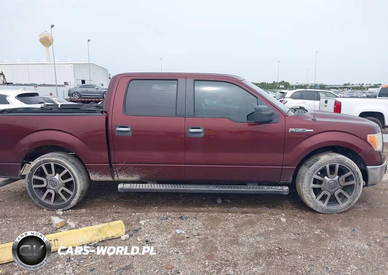 2009 Ford F-150 Xl-Xlt VIN:1FTRW12829KB87810 - 13