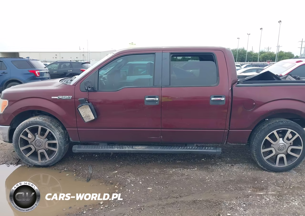 2009 Ford F-150 Xl-Xlt VIN:1FTRW12829KB87810 - 14