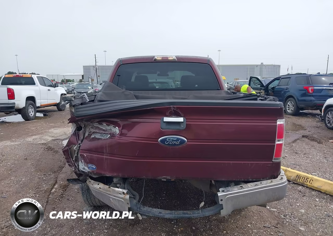 2009 Ford F-150 Xl-Xlt VIN:1FTRW12829KB87810 - 16