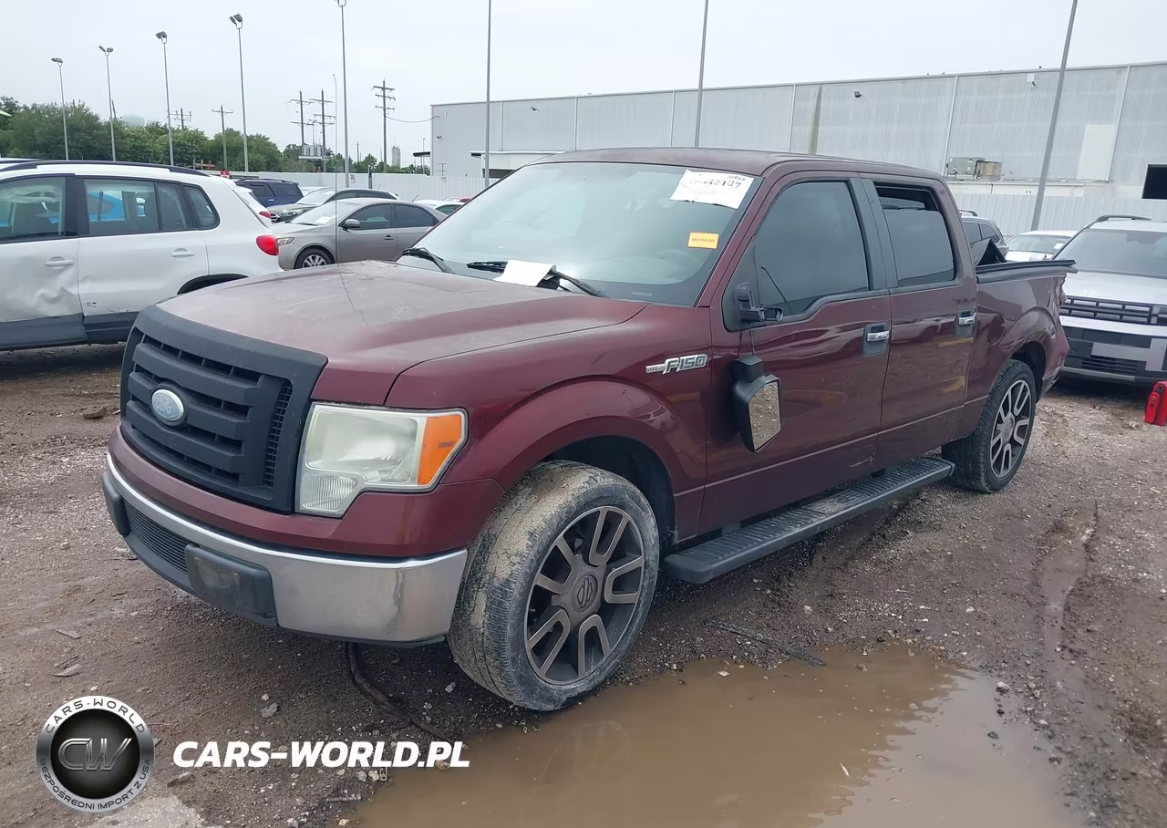 2009 Ford F-150 Xl-Xlt VIN:1FTRW12829KB87810 - 2