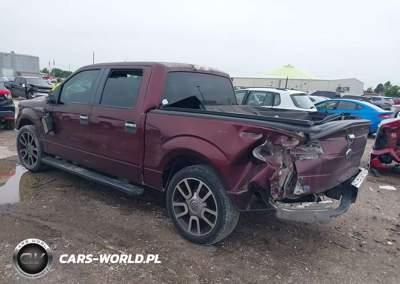 2009 Ford F-150 Xl-Xlt VIN:1FTRW12829KB87810 - 3