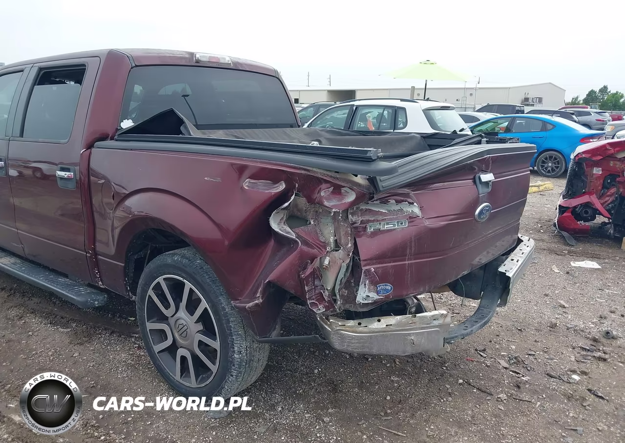 2009 Ford F-150 Xl-Xlt VIN:1FTRW12829KB87810 - 6