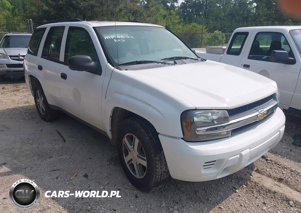 2006 Chevrolet Trailblazer Ls VIN:1GNDT13S662318155 - 6