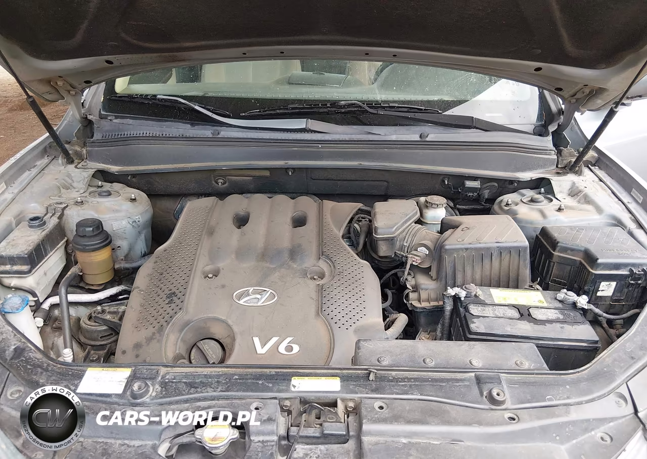 2008 Hyundai Santa Fe Gls VIN:5NMSG13D08H173893 - 10