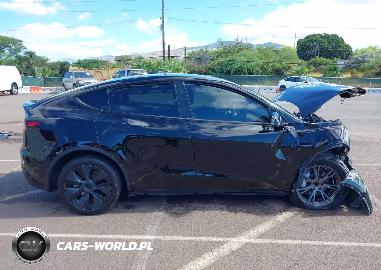 2024 Tesla Model Y Long Range Single Motor Rear-Wheel Drive-Rwd VIN:7SAYGDED4RA303184 - 13