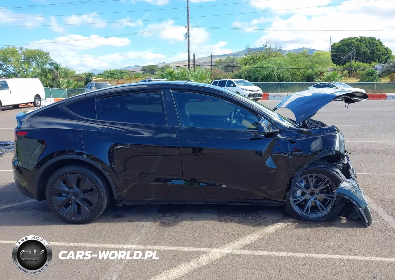 2024 Tesla Model Y Long Range Single Motor Rear-Wheel Drive-Rwd VIN:7SAYGDED4RA303184 - 21