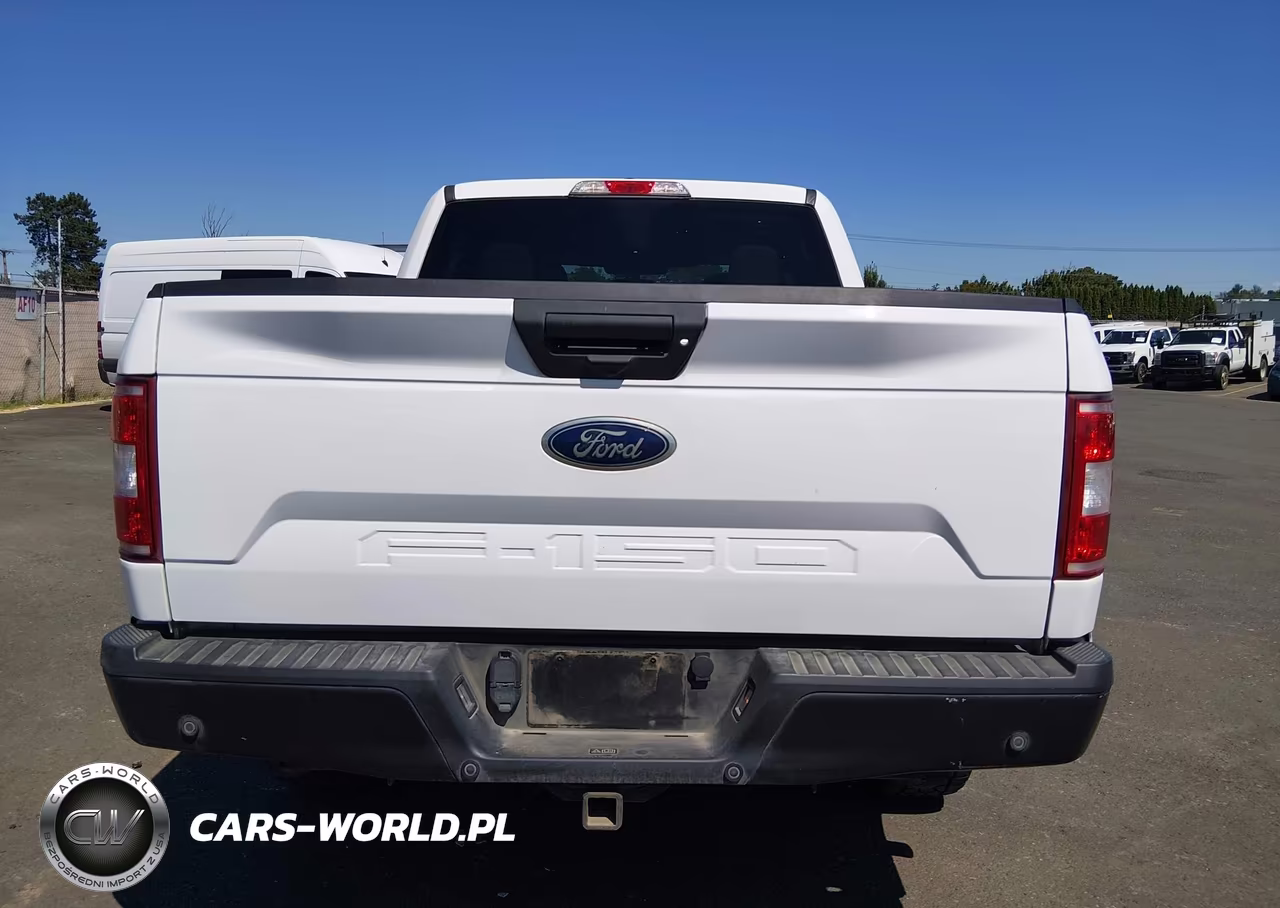 2020 Ford F-150 Xl VIN:1FTEW1EB8LKF21044 - 16