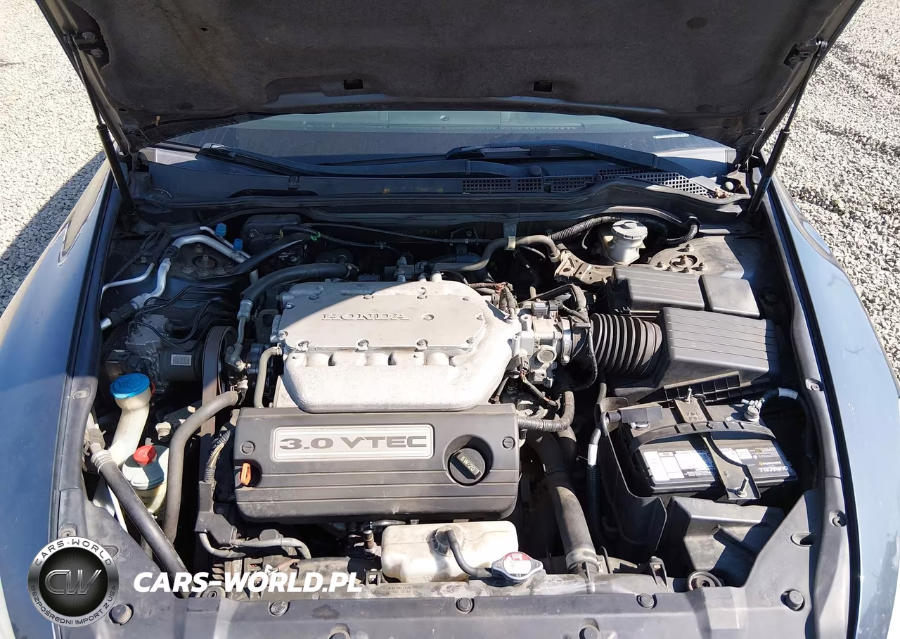 2004 Honda Accord 3.0 Ex VIN:1HGCM66534A051825 - 10